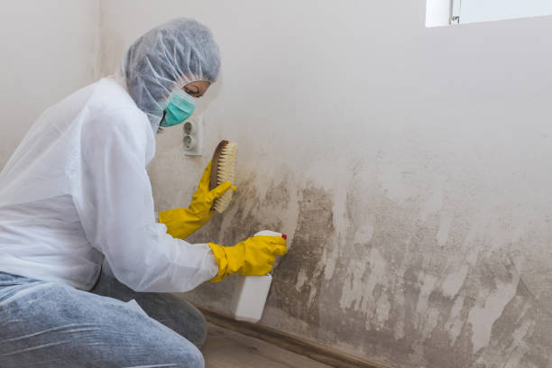 Best Mold Cleaning Services  in Parker, TX