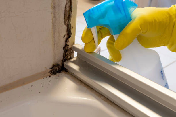 Best Mold Removal and Inspection  in Parker, TX