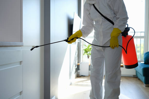  Parker, TX Mold Removal Pros