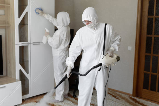 Best Home Mold Removal  in Parker, TX