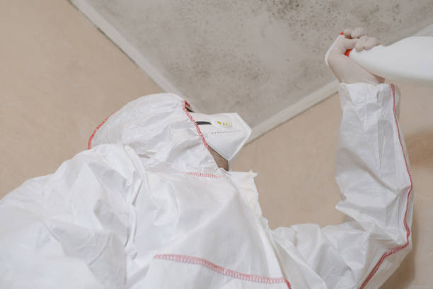 Best Toxic Mold Removal  in Parker, TX